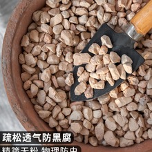 硅藻土颗粒种植拌土铺面垫底物理杀虫种植介质君子兰种植多肉颗粒