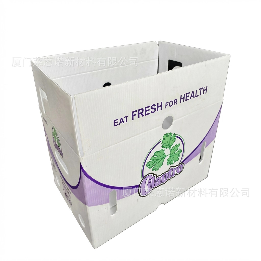 Caja de frutas y verduras de placa hueca pp personalizada plegable impermeable frutas y verduras frescas de transporte de cadena de frío Caja de plástico de calcio image 27