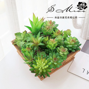 024���ℓ��r�л�����廨DIY�OӋ�S��ֱ�����컨�Gֲ���l��