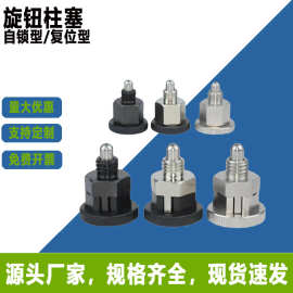 厂家直售不锈钢简易自锁型分度定位销限位迷你旋钮柱塞拉拔弹簧销