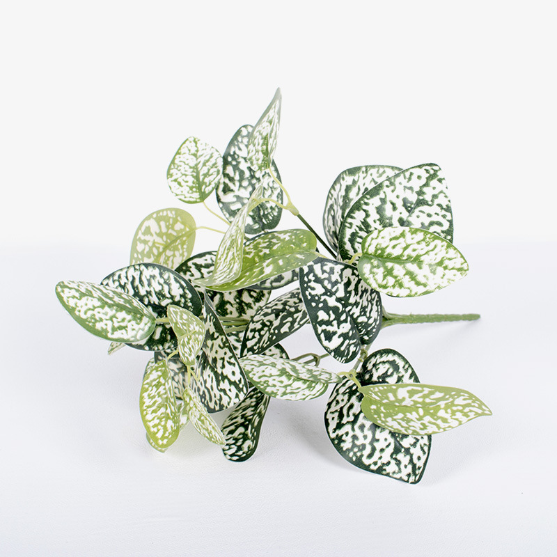 7-tenedor punto blanco Evergreen