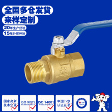 ��Ȫ�����y�T�S�~����z�����ݼy���y DN15-DN32��ͨʽԴ�^���S