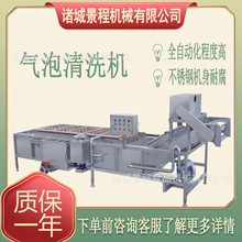 商用不锈钢果蔬清洗机 全自动大枣气泡清洗机 多功能海带去盐设备