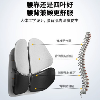 tool, lumbar support, Waist support