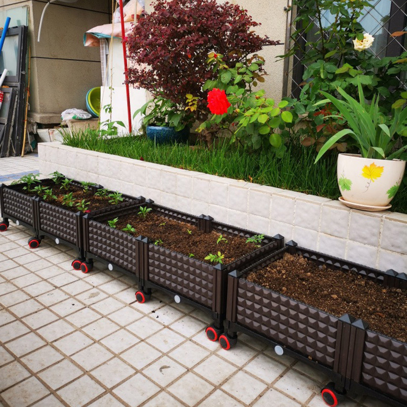 Vegetables Vegetables Planting box balcony Vegetable garden indoor Vegetables rectangle Plastic Flower pot Roof