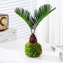 �F��̦�\�������K�Fˮ��ֲ���k����������˺��B�Gֲ�͏d��ה[��