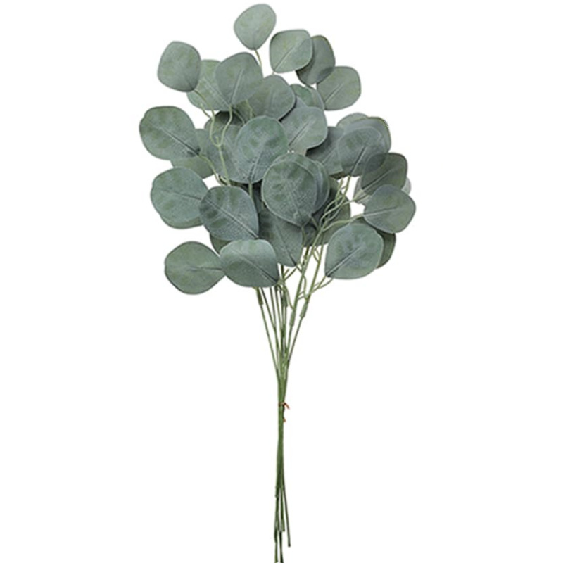 큰 다섯 잎 유칼립투스 잎 단일 지점