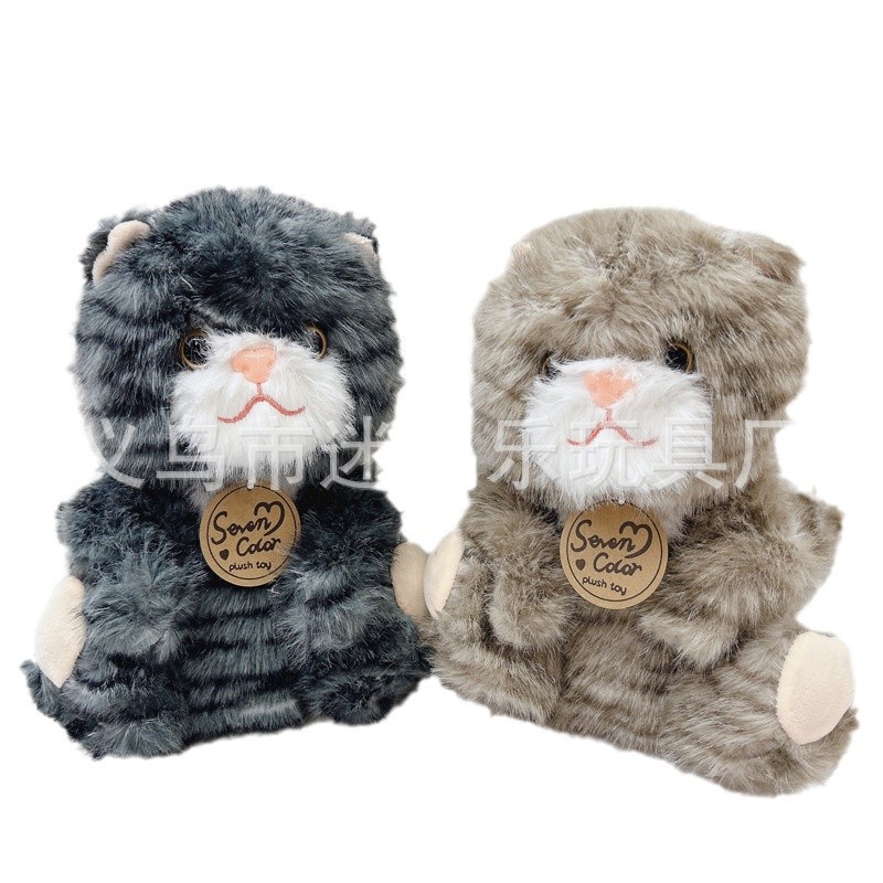 2024-11-12 11:54:06.jpg