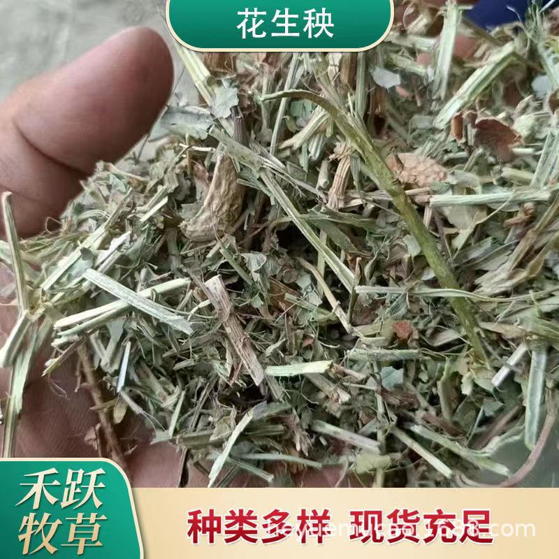 花生秧草段牛羊马干草饲料 养殖畜牧家禽草料动物牧草