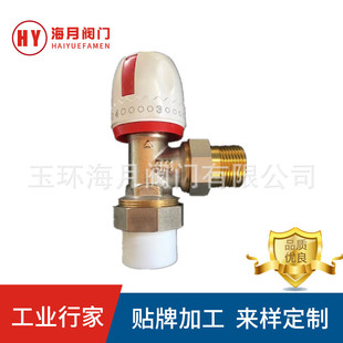 ppr�ؿ��y�ݼy���۽��y ֱʽ��ů�y�ԄӐa���{���y�ք�ů��Ƭ�y�T