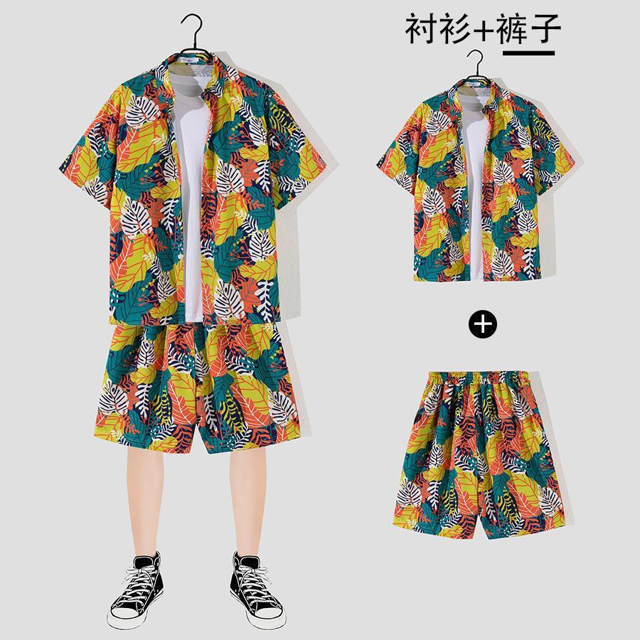 연황색 2135 [세트]