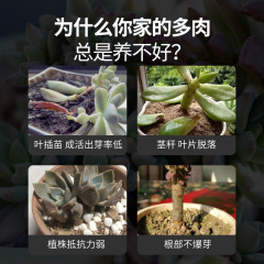 Dormant Growth Stimulant, Bud Booster, Flowering Plant Germination Aid, Dwarf Fat Plant Nutrient Solution, Succulent-Specific Bud Explosion Solution