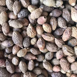 其他药食同源;其他滋补;枸杞及其制品