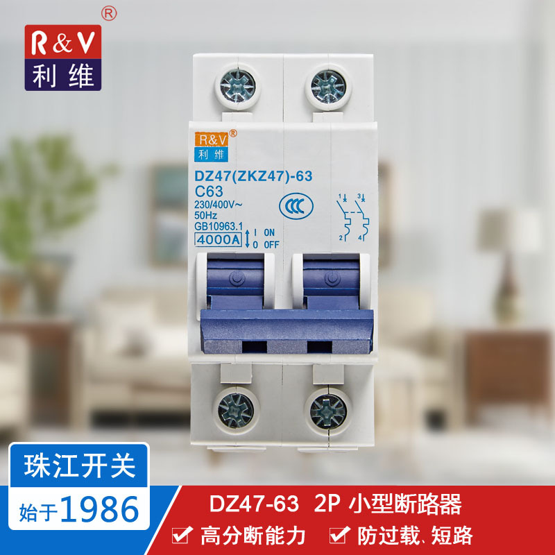 珠江(利维牌)小型断路器家用C型空气开关 两极DZ47 2P 20/32/63A
