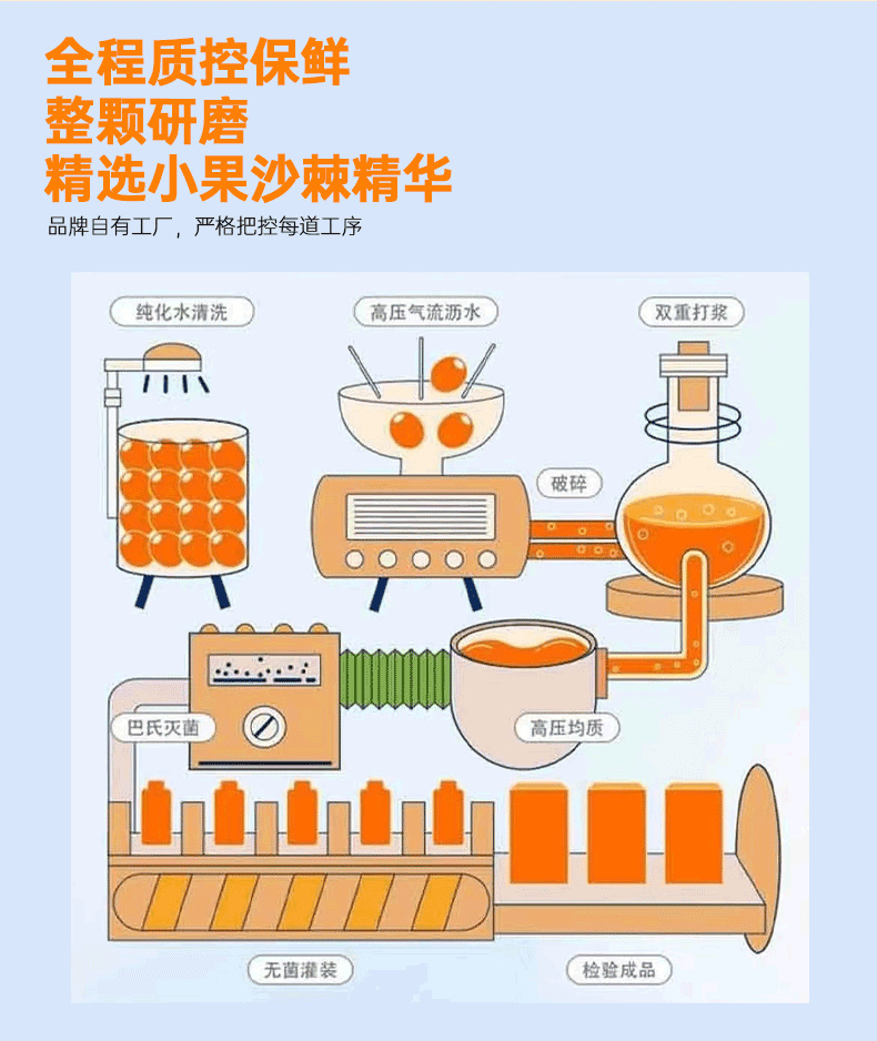 Sea Buckthorn Juice Puree Small Pack Portable 300ml Inner Mongolia Origin preparation