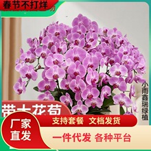һ�����l��Ϻ����m���Ԏ��󻨰�2.8�绨�����͏d�҃�ֲ����B