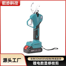 高杆园林修枝剪锂电池电动园艺工具剪刀加长果树高枝粗枝电动剪刀