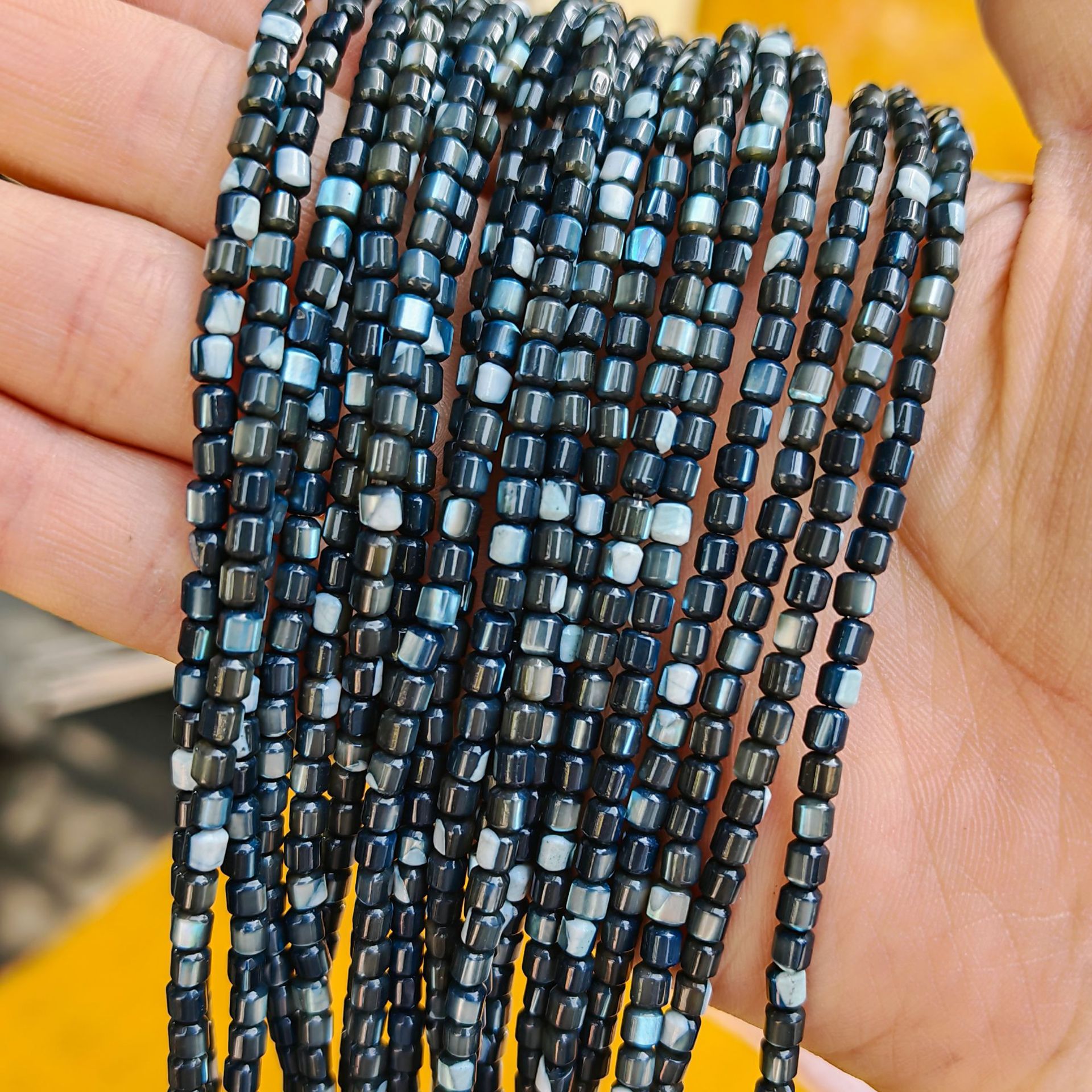 Caracol de herradura-azul marino