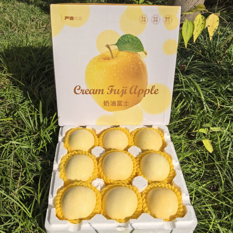 Яблоки Qixia Golden Cream 2025 года, сладкие и сочные, цельные, для дропшиппинга, подарочная коробка яблок Yantai Cream Fuji