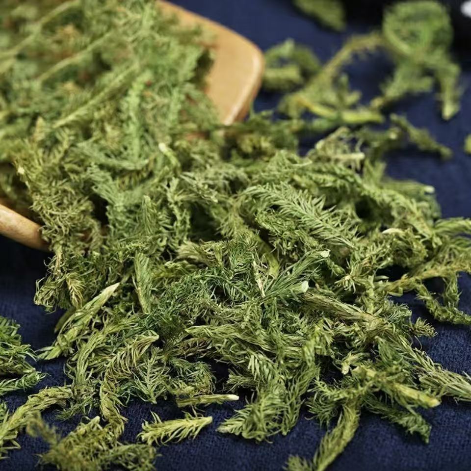 Shen Jin Cao Dried Clubmoss Whole Herb 500g Bulk Sichuan Origin Traditional TCM Ingredient key features