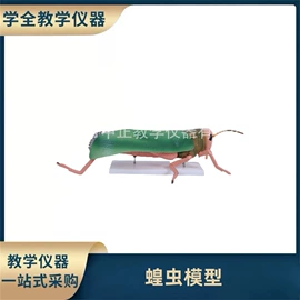 教学演示用品;教学仪器;生物教学器材