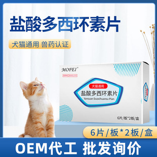 mofei�}������h��Ƭ������ð�l��؈���ÏV�V�־�����ͨ���p�S�B