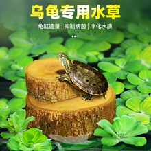 ���׾Gֲ�������쾰����ˮ���B����Ƽ����ˮ��ֲ�����ˮ�|
