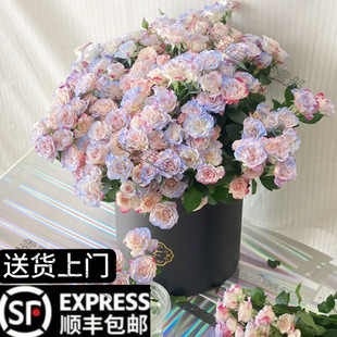 Freshly Picked Flowers, Crushed Ice Blue Multi-Headed Rose, Shipped by Sf Express, Yunnan DIY Flower Material, Fresh Arrangement for the Passenger Seat in the Car
