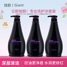 coco香薰去屑控油家用洗发露酒店旅馆香氛洗护套装止痒留香洗发水