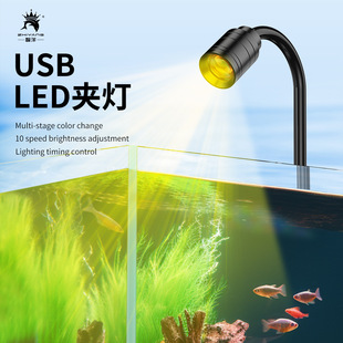 USB South American Light Stream Cylinder LED Grass Light Color Changing Dimming DC European Regulations US Regulations UK Regulations Cross Border South American Spotlights