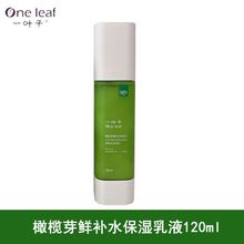 一叶子橄榄芽鲜补水保湿乳120ml滋润护肤精华乳液润肤改善干燥