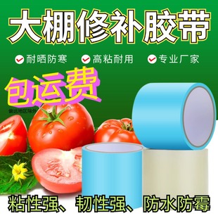 Greenhouse Repair Tape Agricultural Film Tape Anti-freeze Cold Waterproof Thickeneded Manufacturer Blue White High-viscosity Drip-free Film