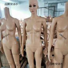 服装模特厂家直销模特儿模特道具人体模特服装店展示架塑料女模特