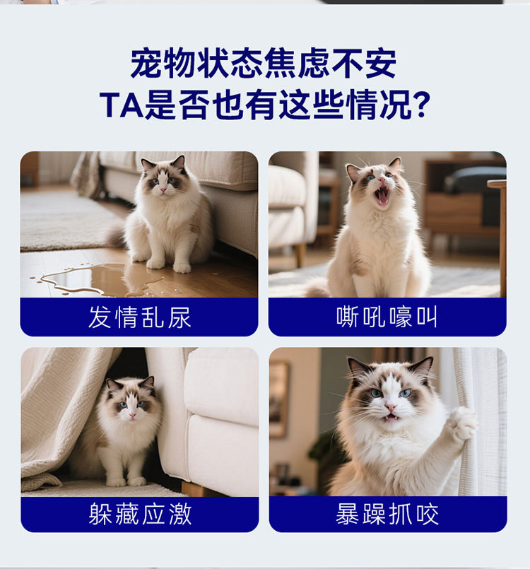 O1CN01PYA31S1QS8teD5PKF_!!2206811161974-0-cib.jpg