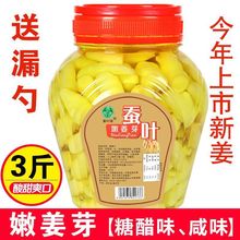 牌糖醋嫩姜芽1500克生姜腌制泡仔姜咸菜爽口下饭酱菜盐水姜芽