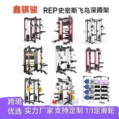 REP飛鳥深しゃがみ架多機能一体龍門架臥推架フィットネス器材試合架cf架座りボート