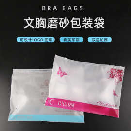 双面磨砂拉链袋文胸内衣包装袋彩印EVA材质通用自封拉链袋现货