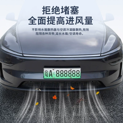 Suitable for 6-Seater Tesla: Automobile anti-insect net