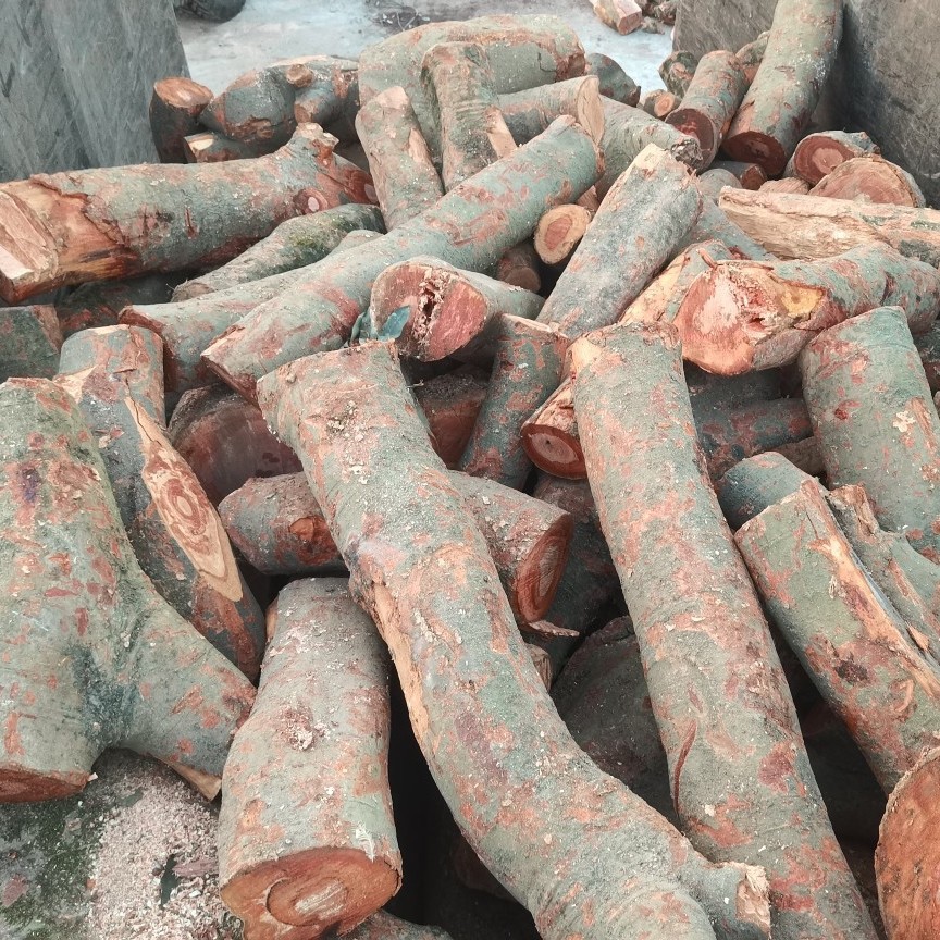 2025-06-30 19:09:44.jpg