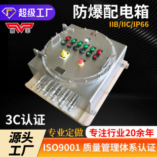 304 316���P�Exd BT6 CT4�����Ӿ��������x��������IIC IIB