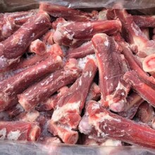 ���r����ǎ������ȹǃ��ɹ�����F�������Ͳ�����������Ҝ����l