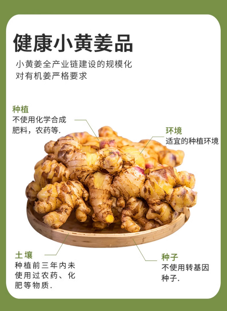 Organic Yunnan Small Yellow Ginger Powder Dried Ginger Drink Seasoning 250g specifications
