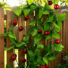 ������ˇƷ�S�S�����l���滨���� ���b��ٻ����滨����ˮ����