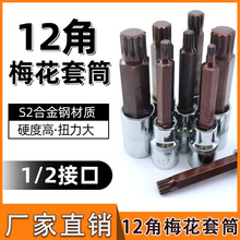12��÷�����^M���L�ښ��1/2늰��փ�����ʮ������������Ͳ�^���b