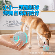 小狗自动狗狗玩具球耐咬自嗨解闷宠物磨牙遛狗逗狗电动跳跳球