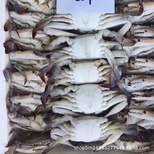 ��Ƶ������ͻ��ʳ��ʳ�� �������з �r���ك���з��зз��