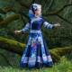 Guangxi Zhuang Nationality Costume Adult Female March 3 Minority Costume Zhuang Brocade Dress Embroidery Dance Performance Long