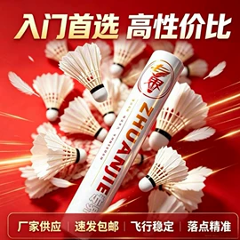 羽毛球;服务商品