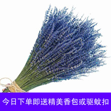 薰衣草干花花束助眠家居用品家庭室内客厅纯天然干鲜花装饰品