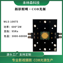 WLS-10075 1200W影视照明COB灯珠高光效摄影灯光源大功率LED灯珠